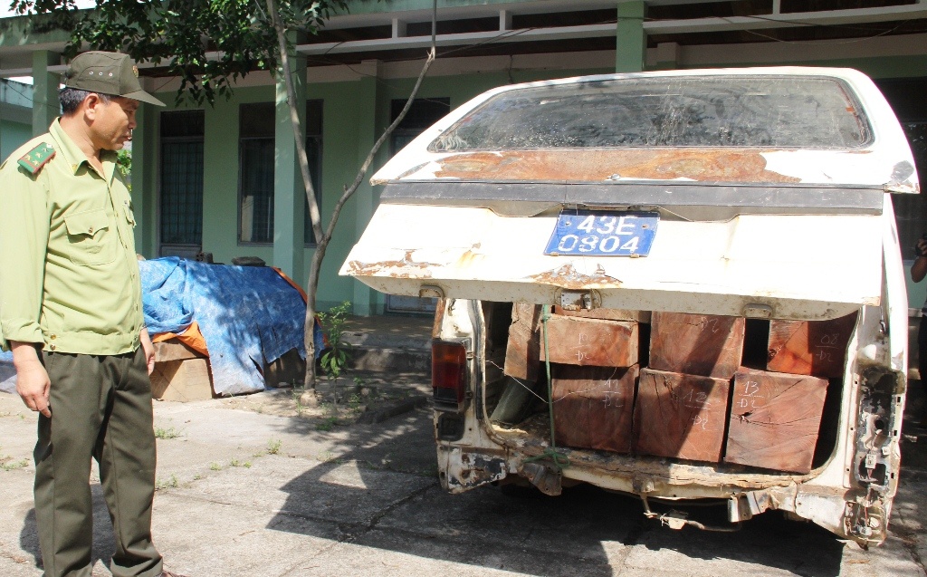 Tai xe xe bien xanh bo chay khi bi phat hien cho go lau hinh anh