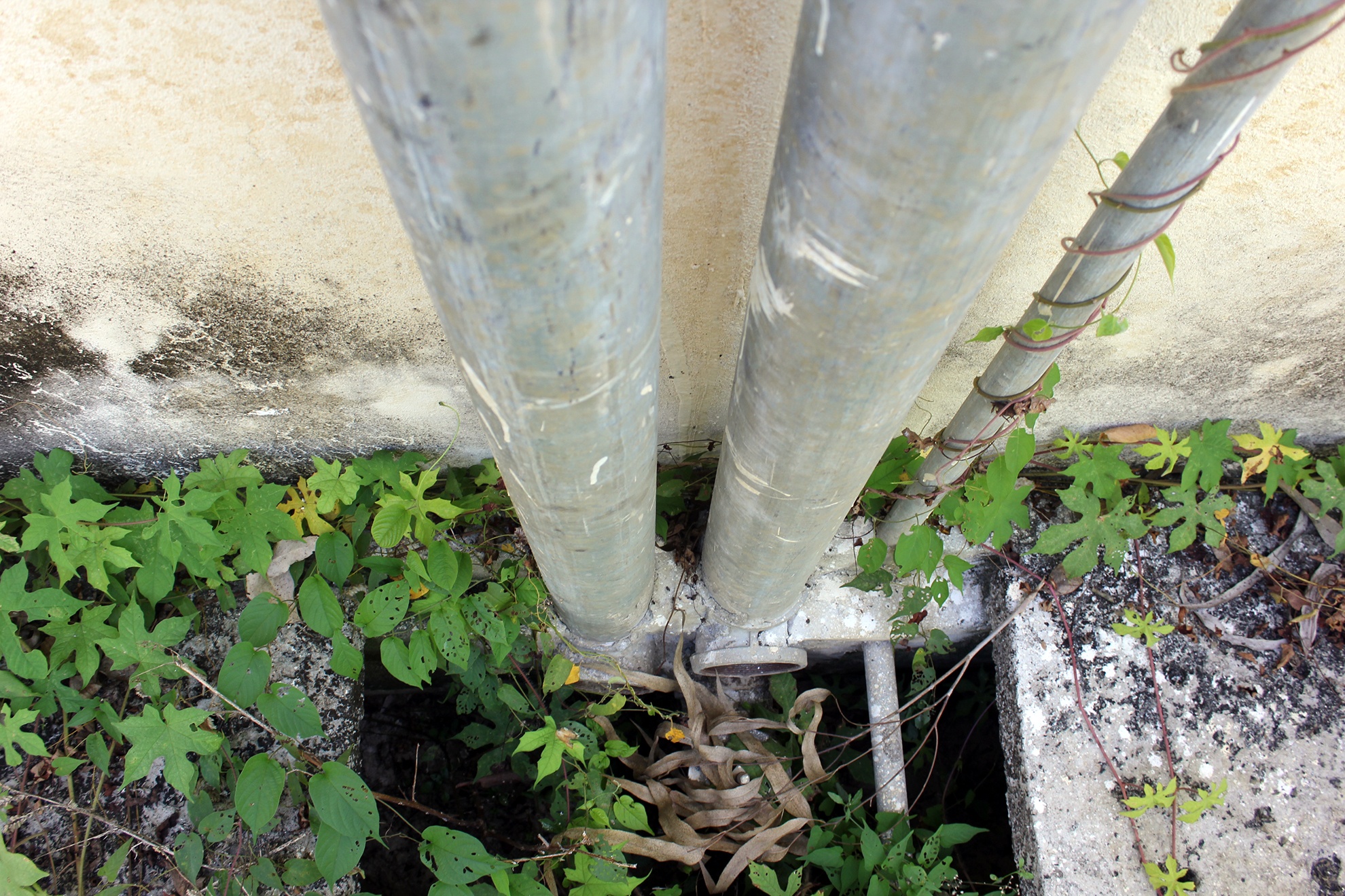 Cong trinh nuoc sach tien ty bo hoang anh 8