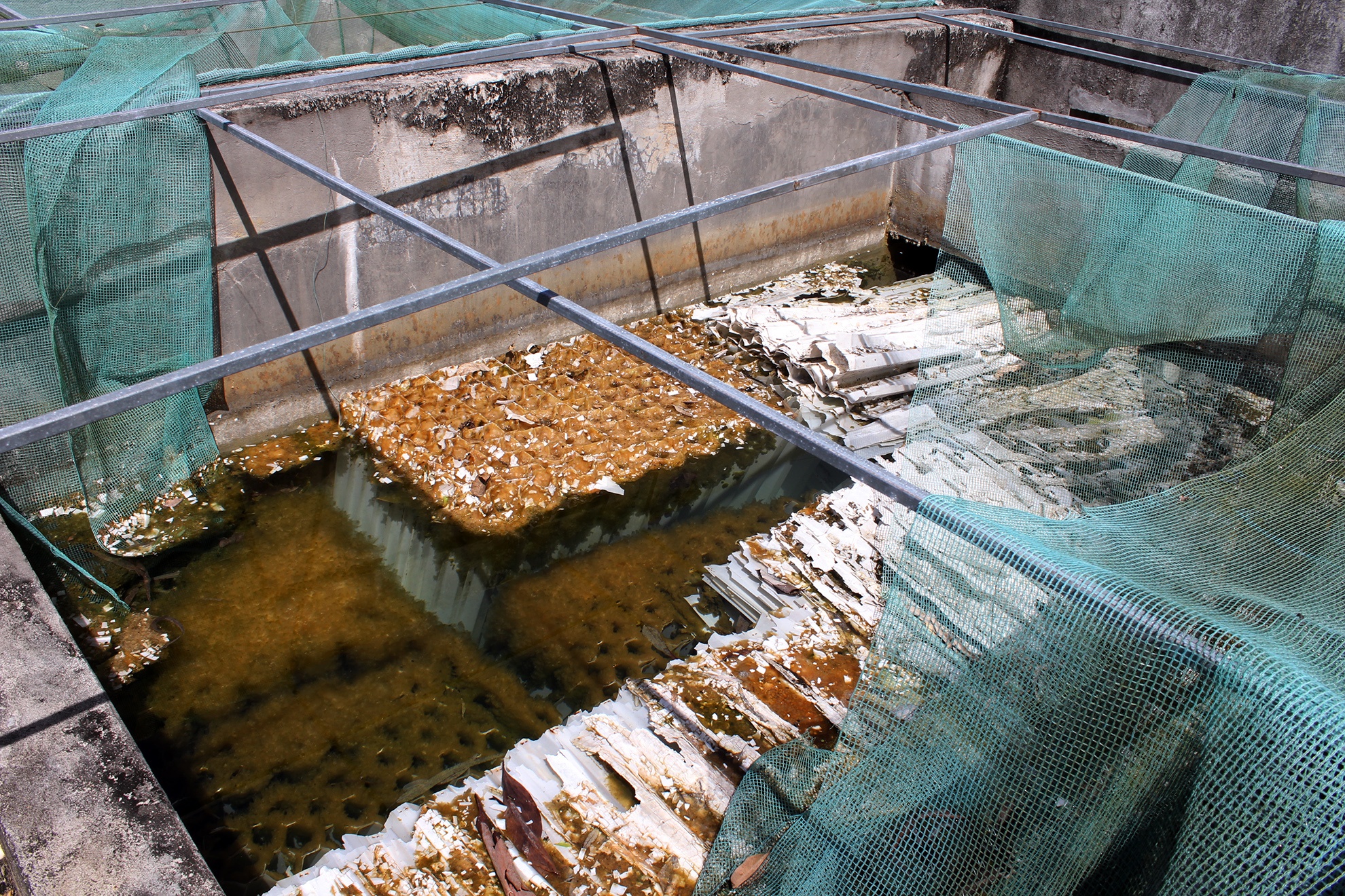 Cong trinh nuoc sach tien ty bo hoang anh 4