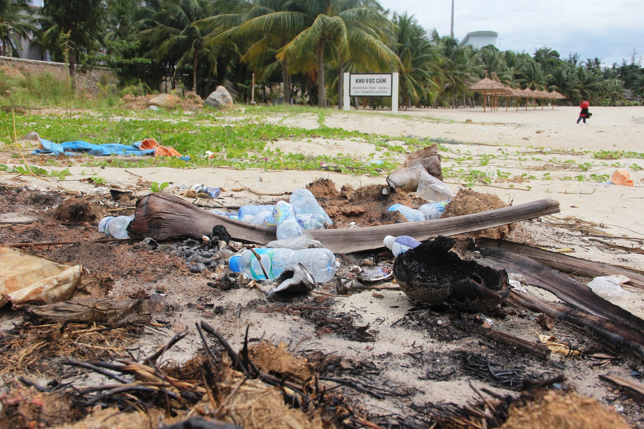 Sat lo bun non o du an bien Son Tra anh 8