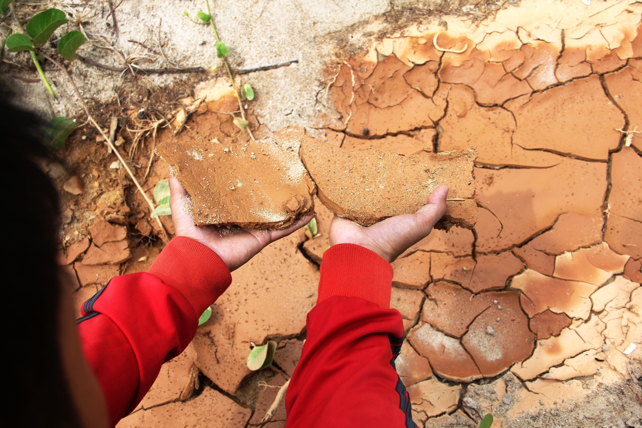 Bun do tran xuong bien o khu vuc 40 mong biet thu Son Tra hinh anh