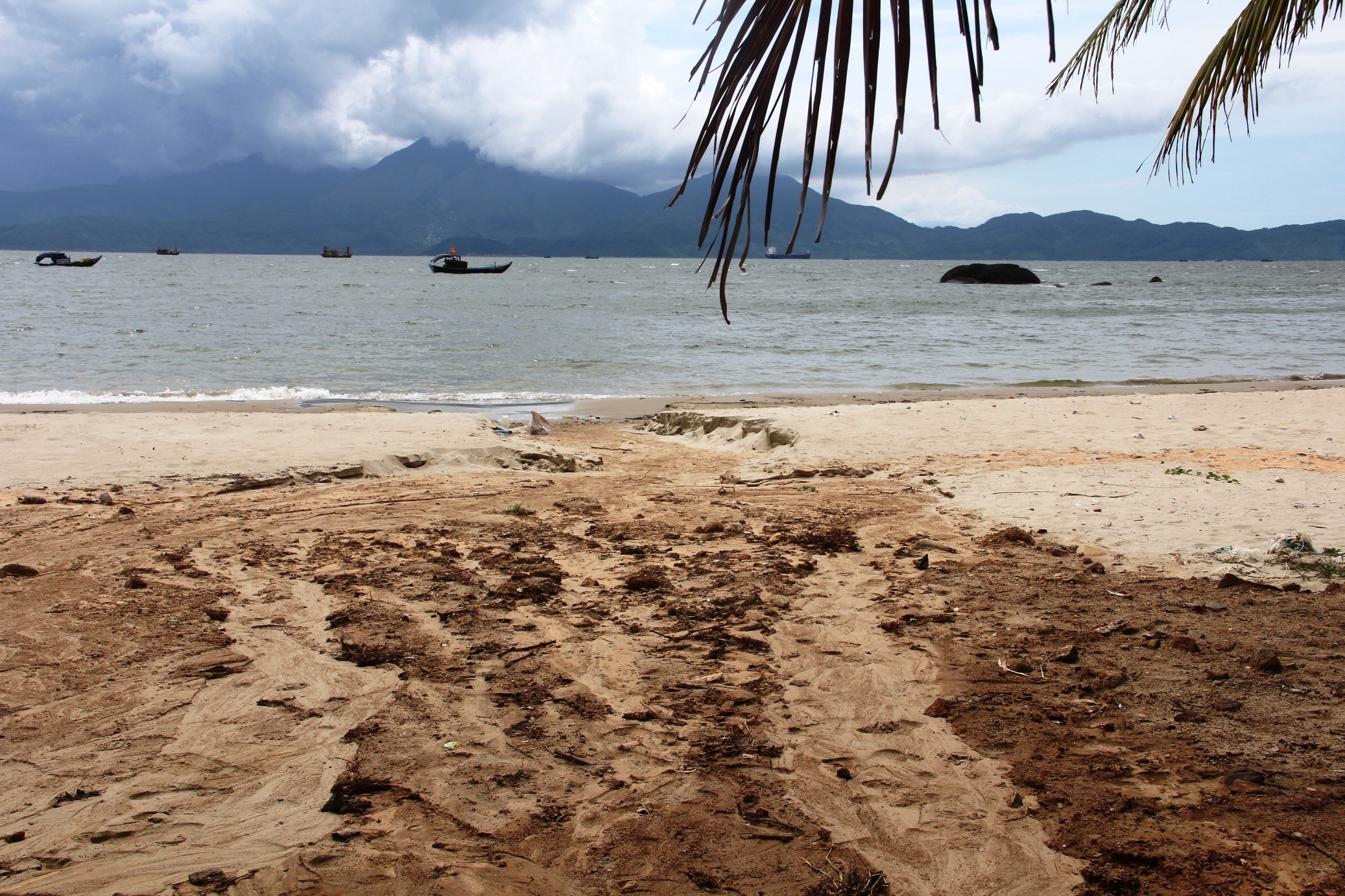 Sat lo bun non o du an bien Son Tra anh 2