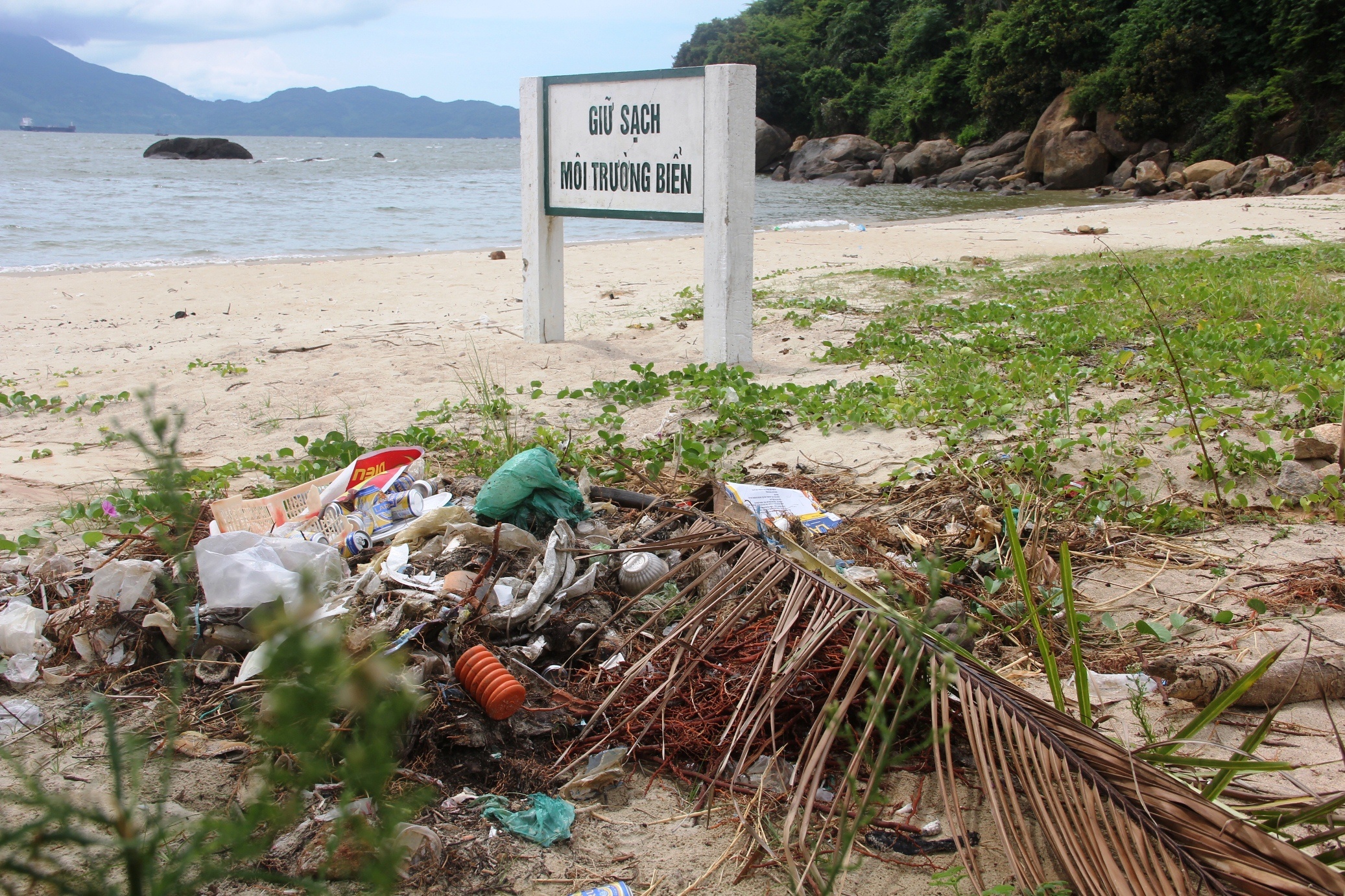 Sat lo bun non o du an bien Son Tra anh 4