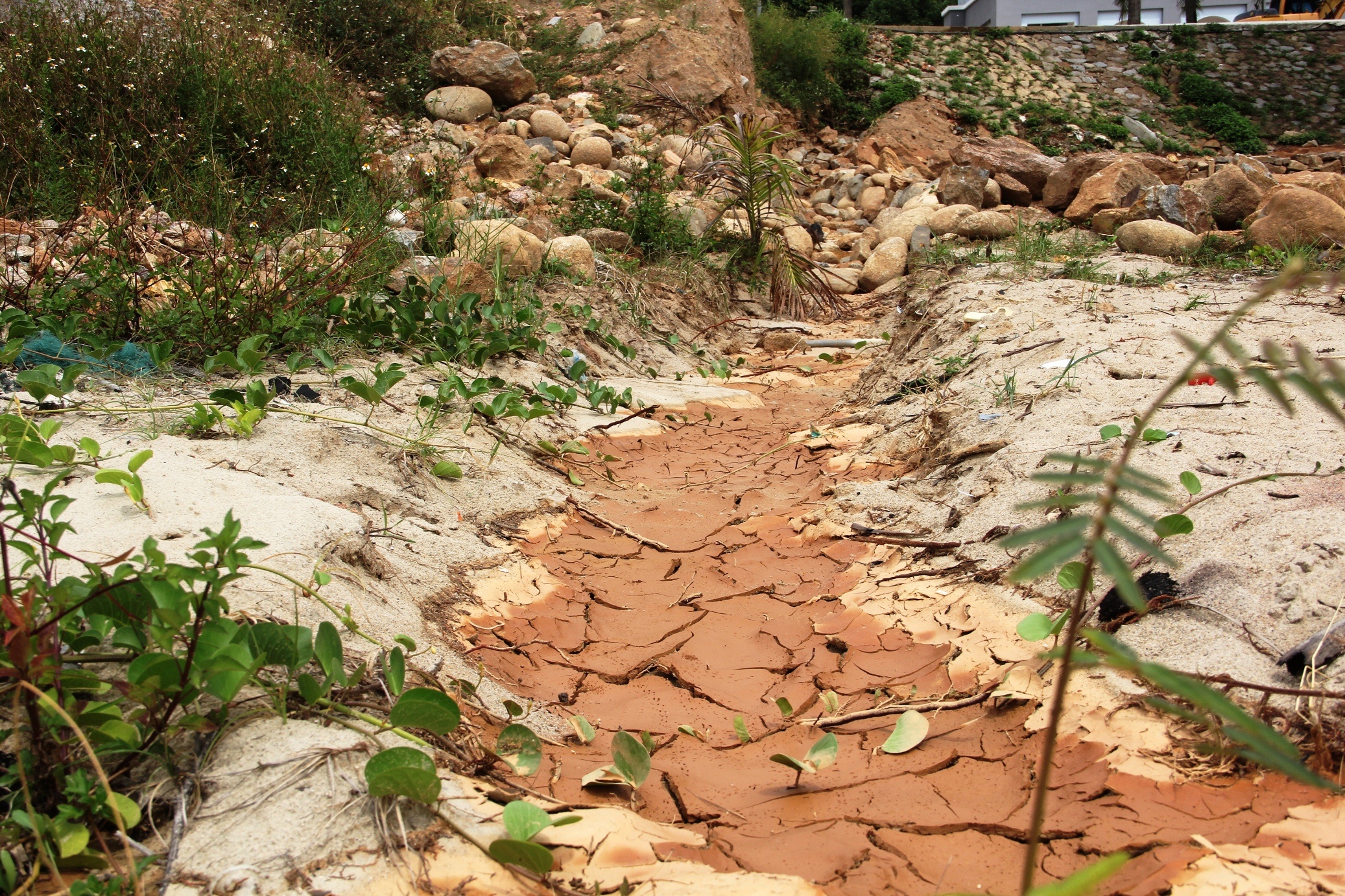 Sat lo bun non o du an bien Son Tra anh 5