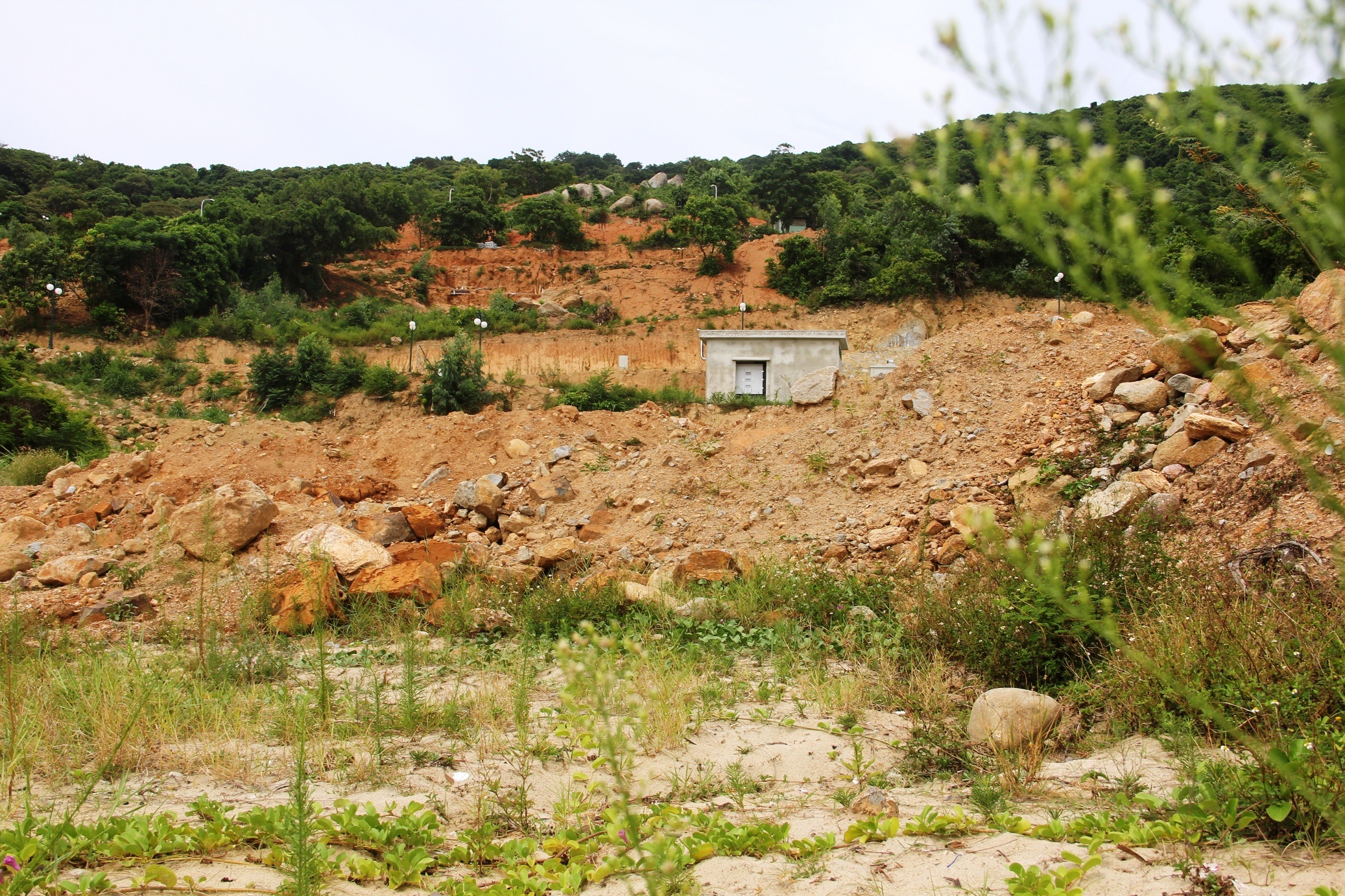 Sat lo bun non o du an bien Son Tra anh 6