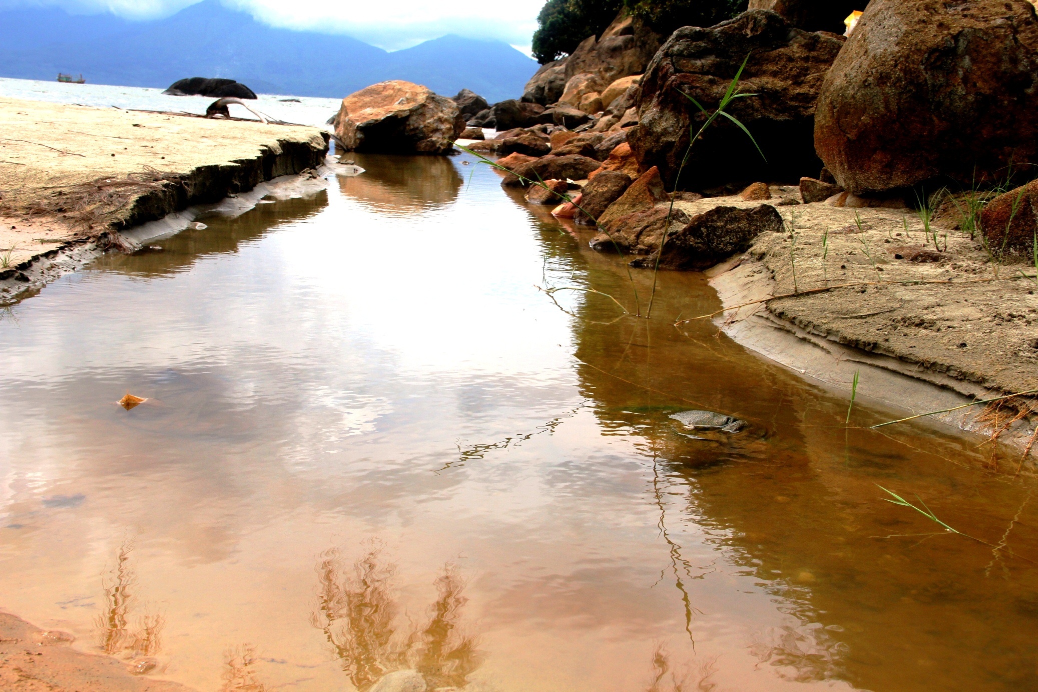 Sat lo bun non o du an bien Son Tra anh 12