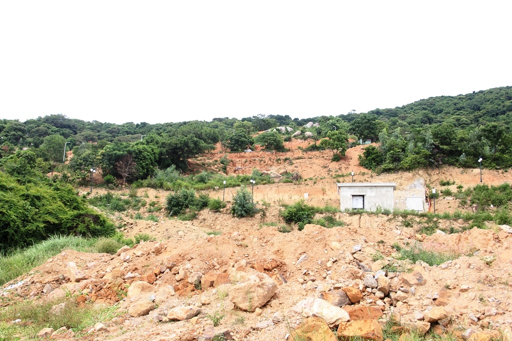 Bảo tồn bán đảo Sơn Trà ảnh 3 Bao ton ban dao Son Tra anh 3