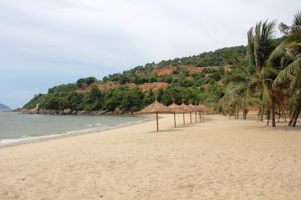 Son Tra la phan khong the tach roi doi voi Da Nang anh 1