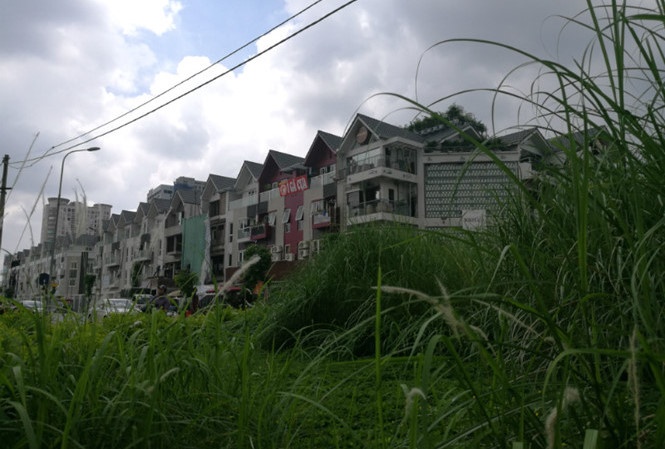 Ha Noi khong cat co, danh tien cho dan sinh hinh anh