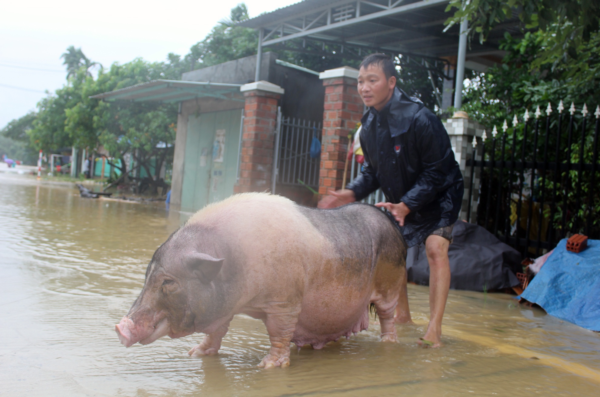Nguoi Quang Nam don nha chay lu anh 9