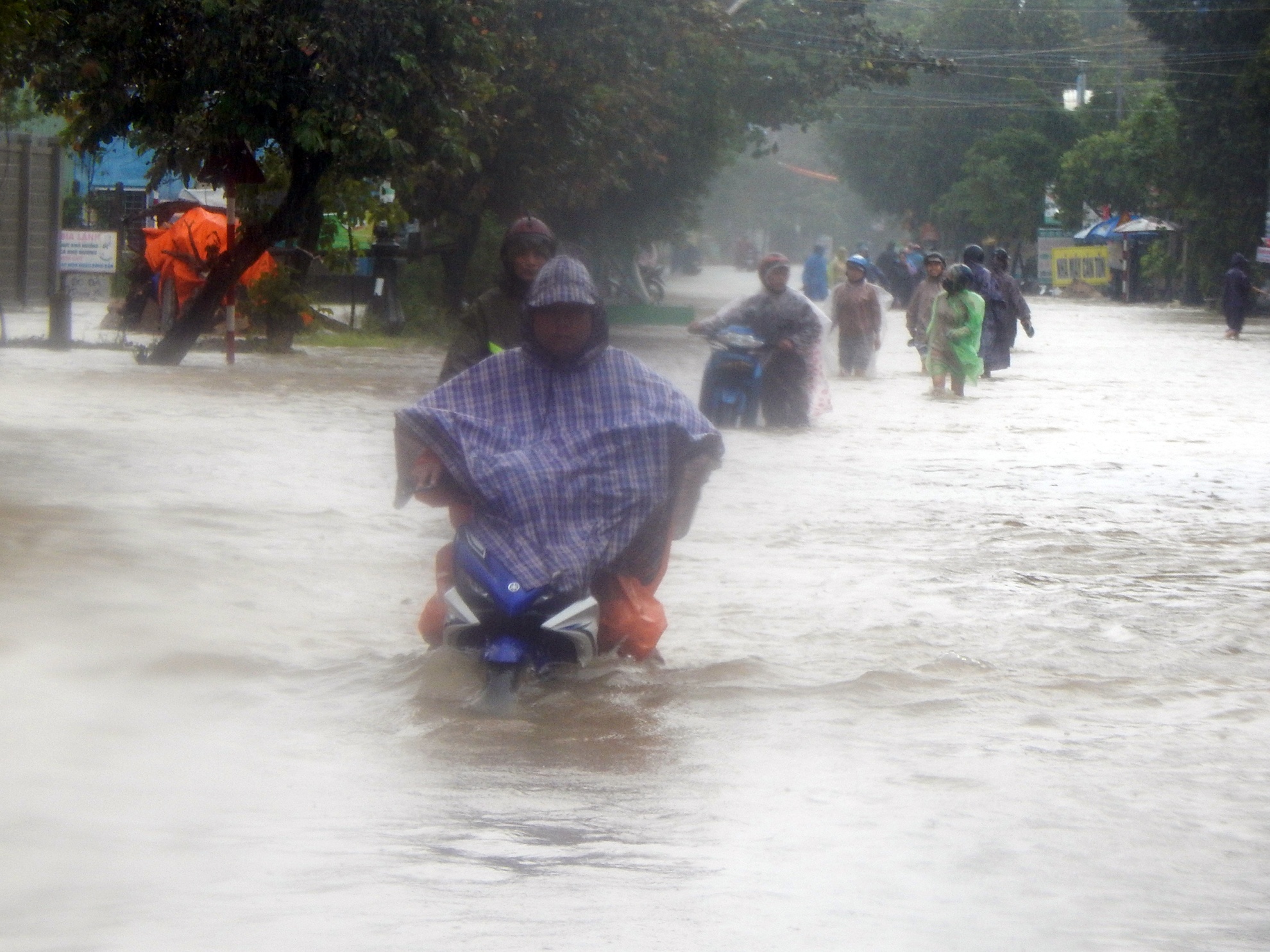 Quang Nam ngap sau sau bao so 12 anh 8