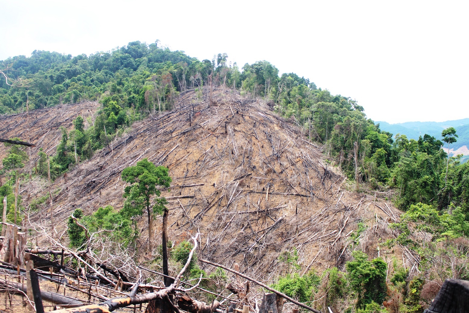 Chu tich xa bi cach chuc anh 2