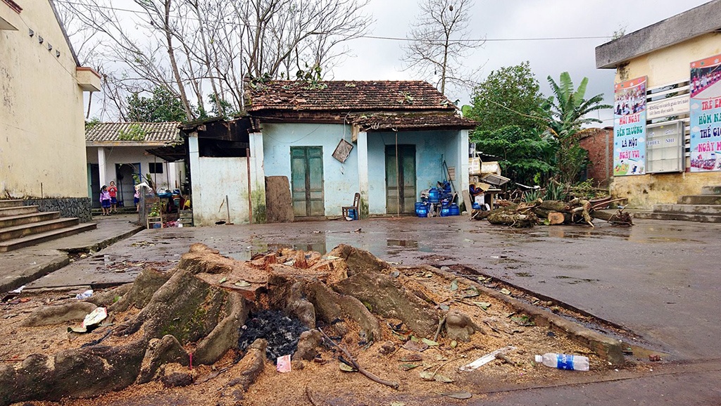 Nguoi phu nu o trong nha bi cay co thu de tu vong hinh anh