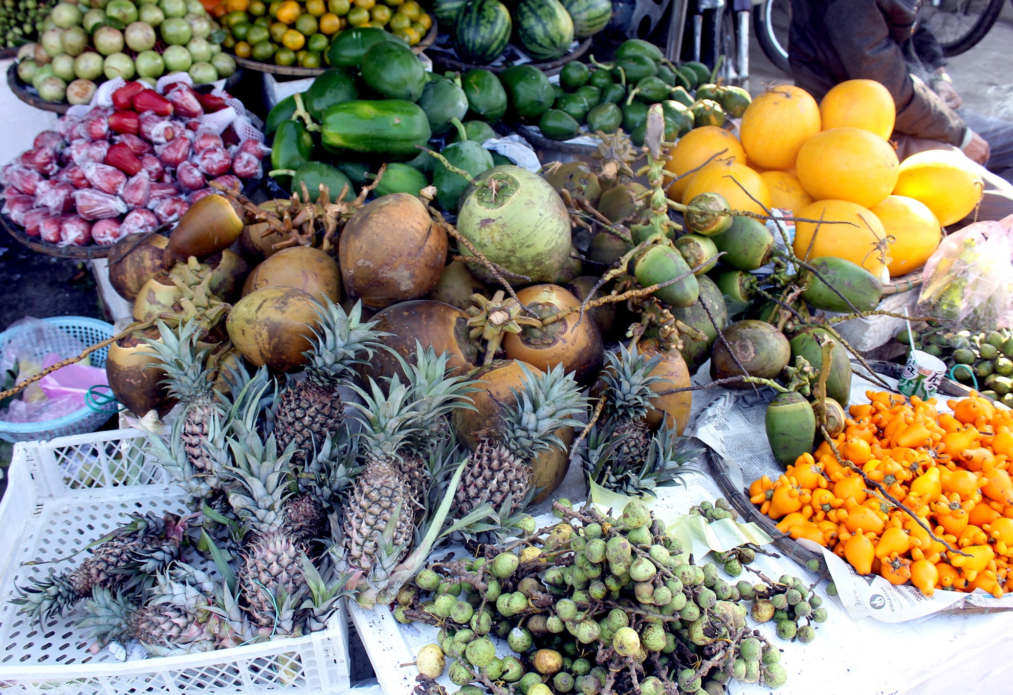 Tat bat chon mua 'Ngu qua' cau nam moi sung tuc hinh anh