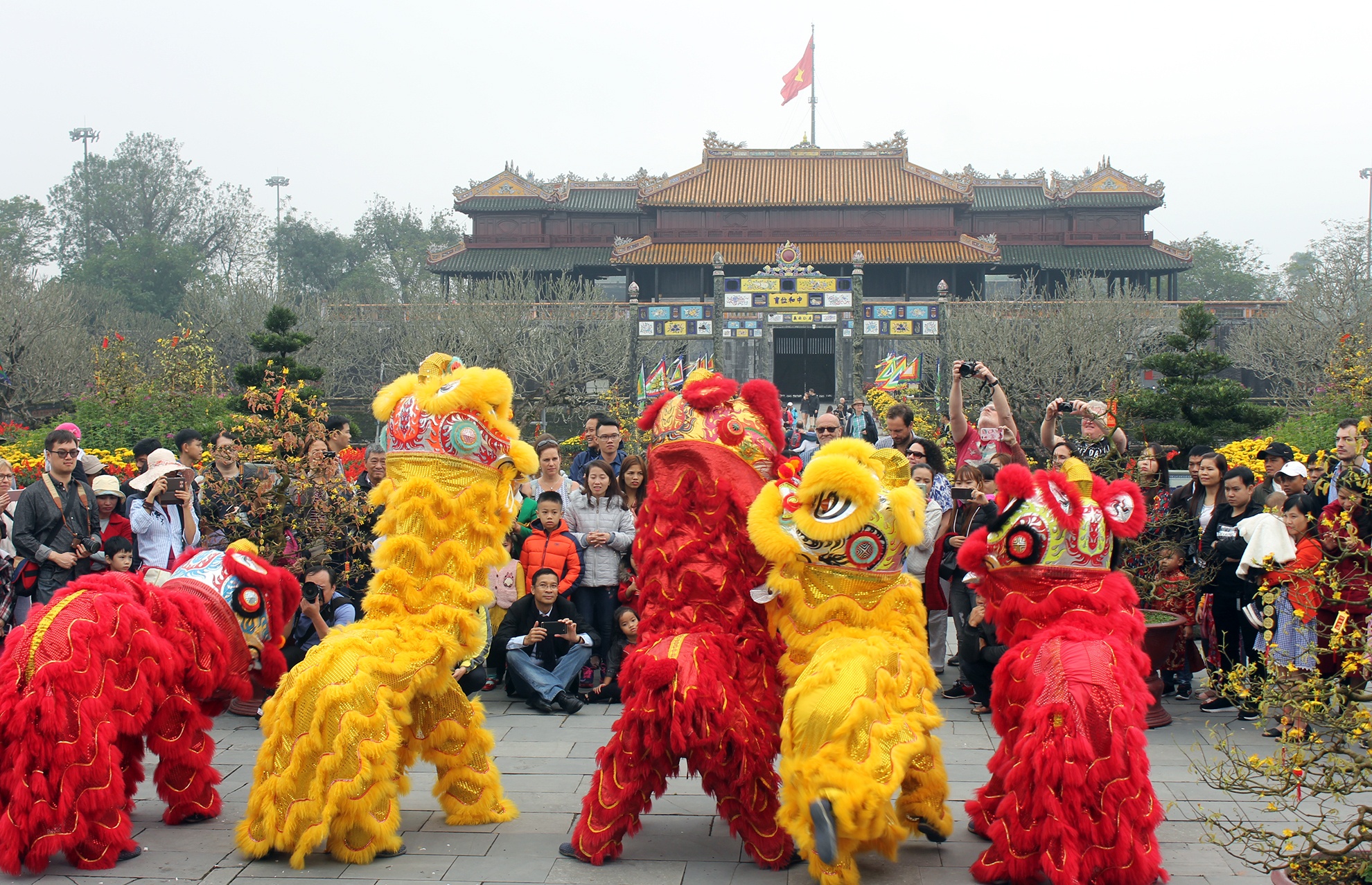 Nguoi Hue vao Hoang cung choi tro 'vua quan' hinh anh