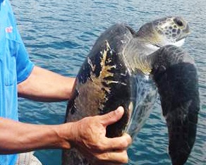 Rua bien trong sach do nang 25 kg mac luoi ngu dan hinh anh