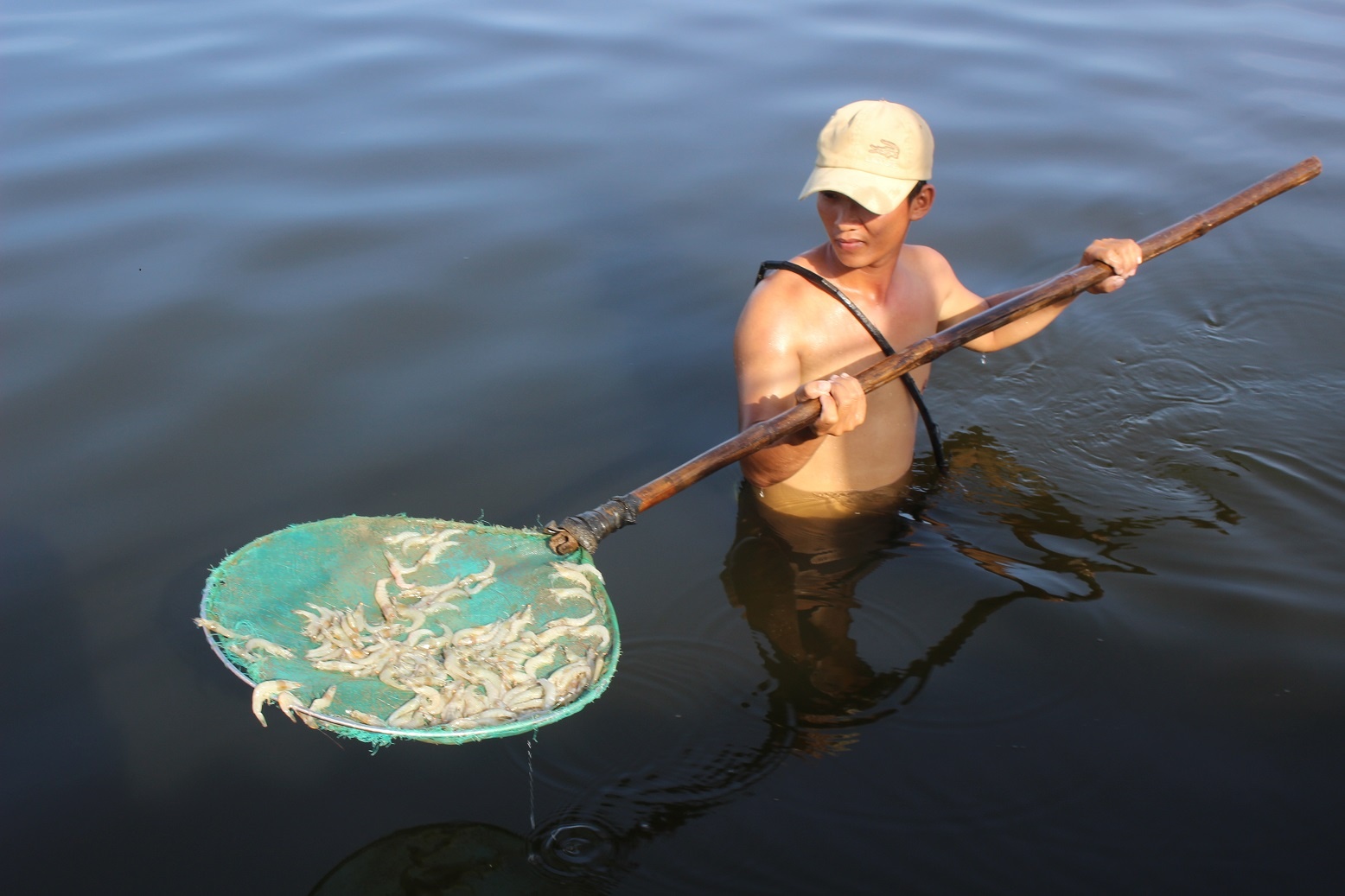 tom chet o Quang Nam anh 2