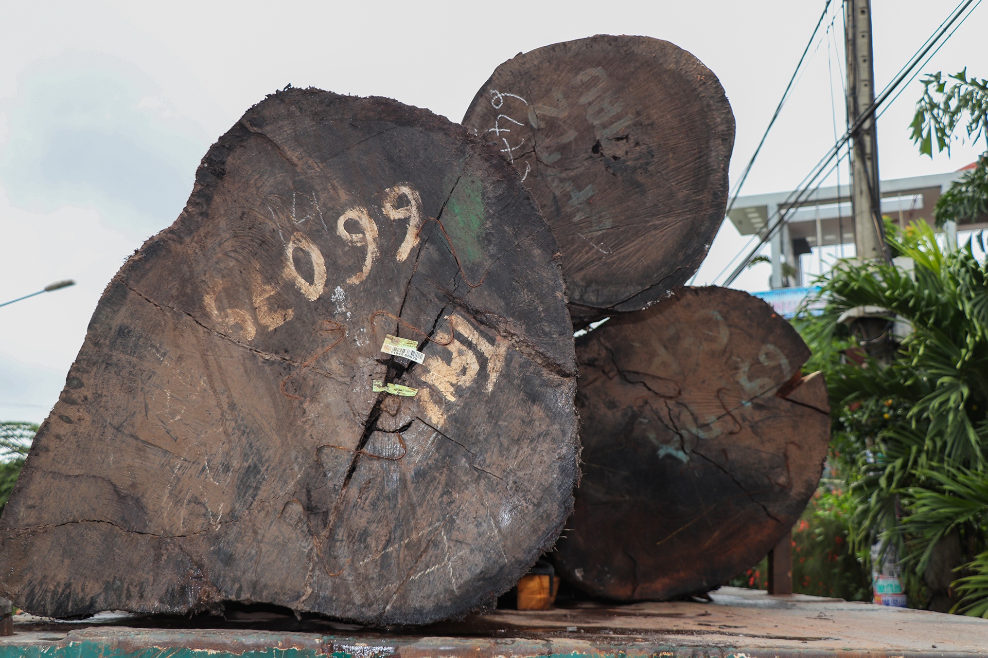 Phat hien 4 xe dau keo cho hang tram tan go khong ro nguon goc hinh anh