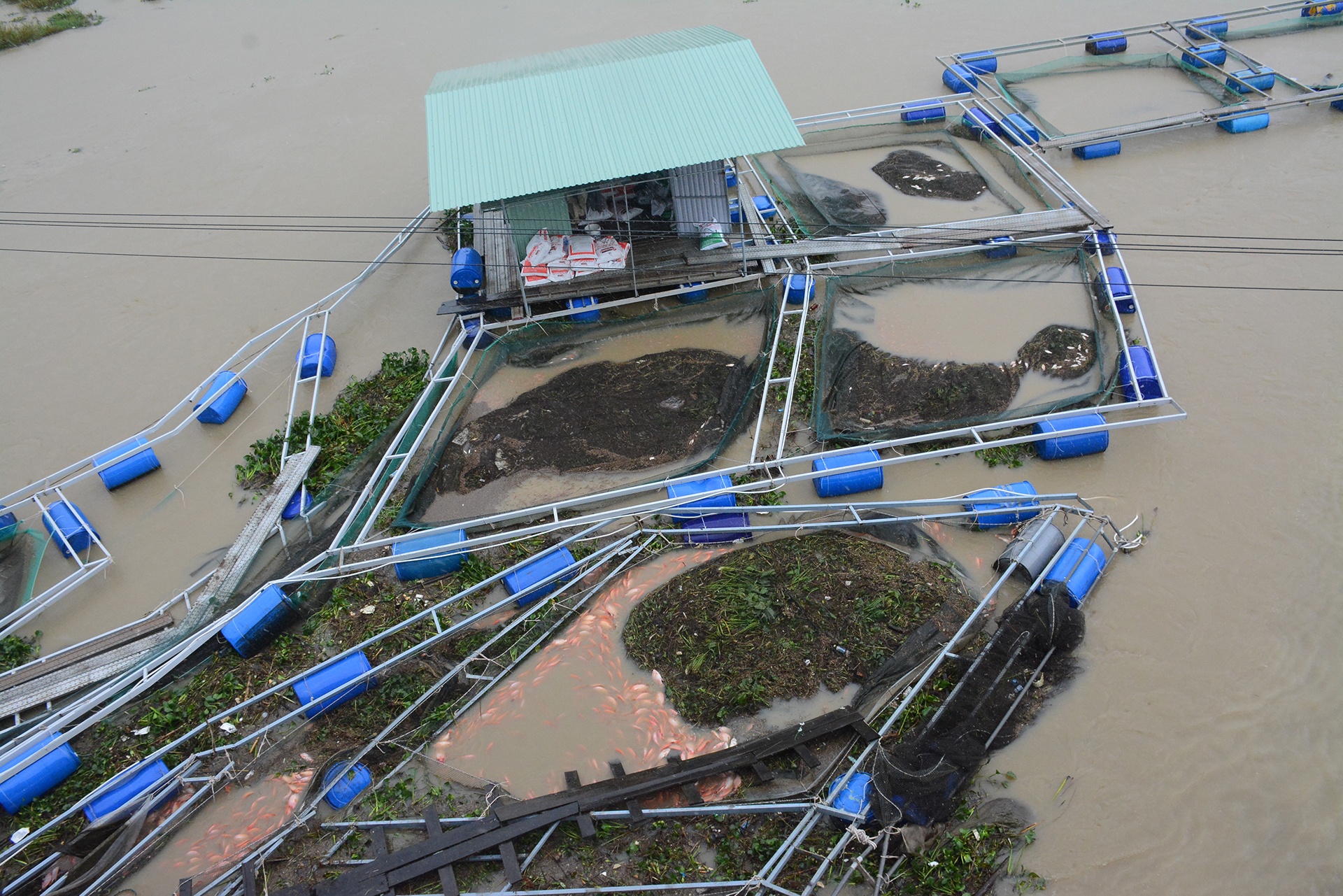 60 tan ca bi nuoc cuon troi vi mua lon, thiet hai hang ty dong hinh anh