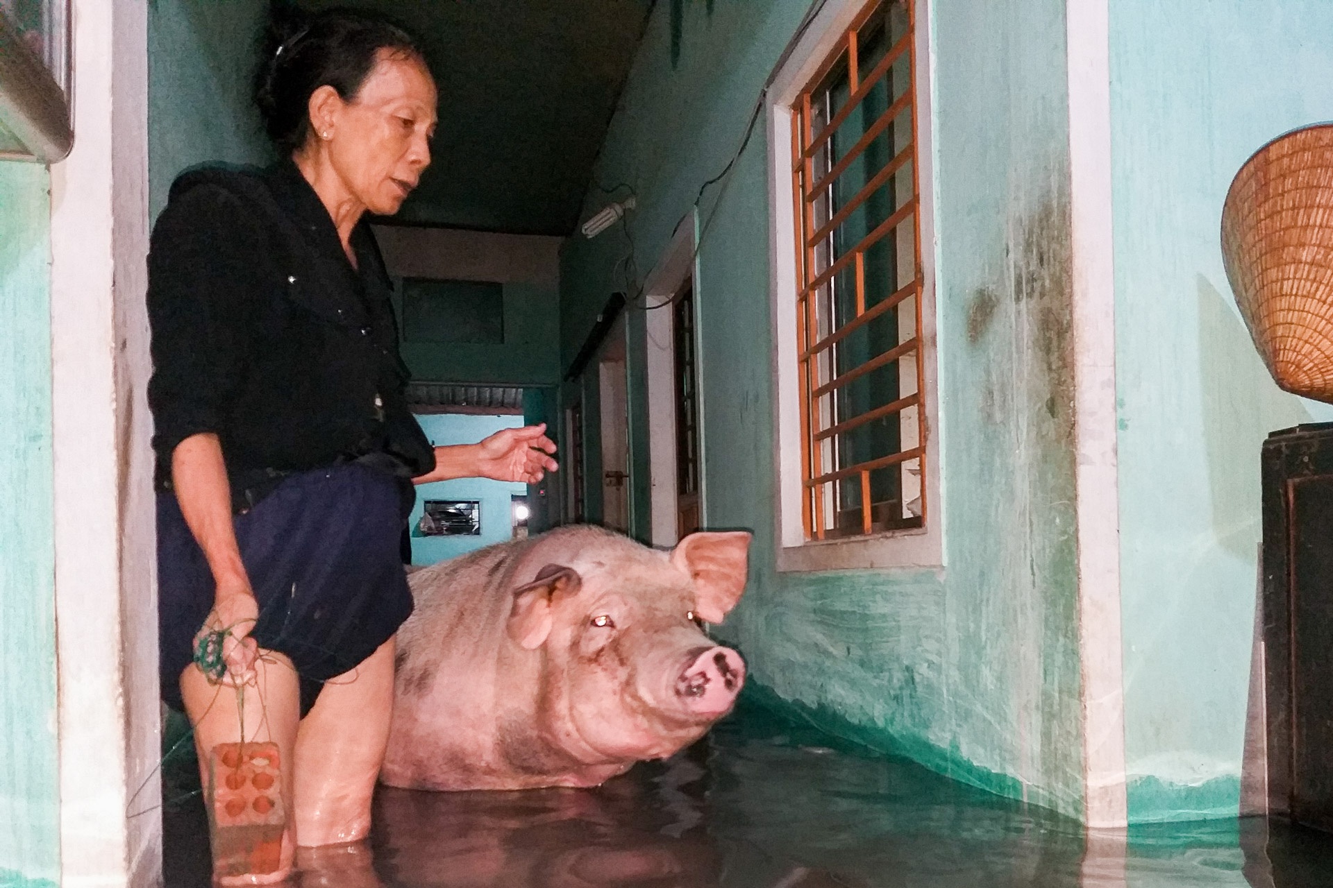 Nguoi dan Quang Nam thuc xuyen dem dua vat dung den noi kho rao hinh anh