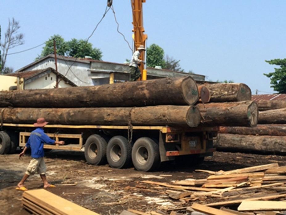 Lai xe bi hang tan go tran xuong de tu vong hinh anh