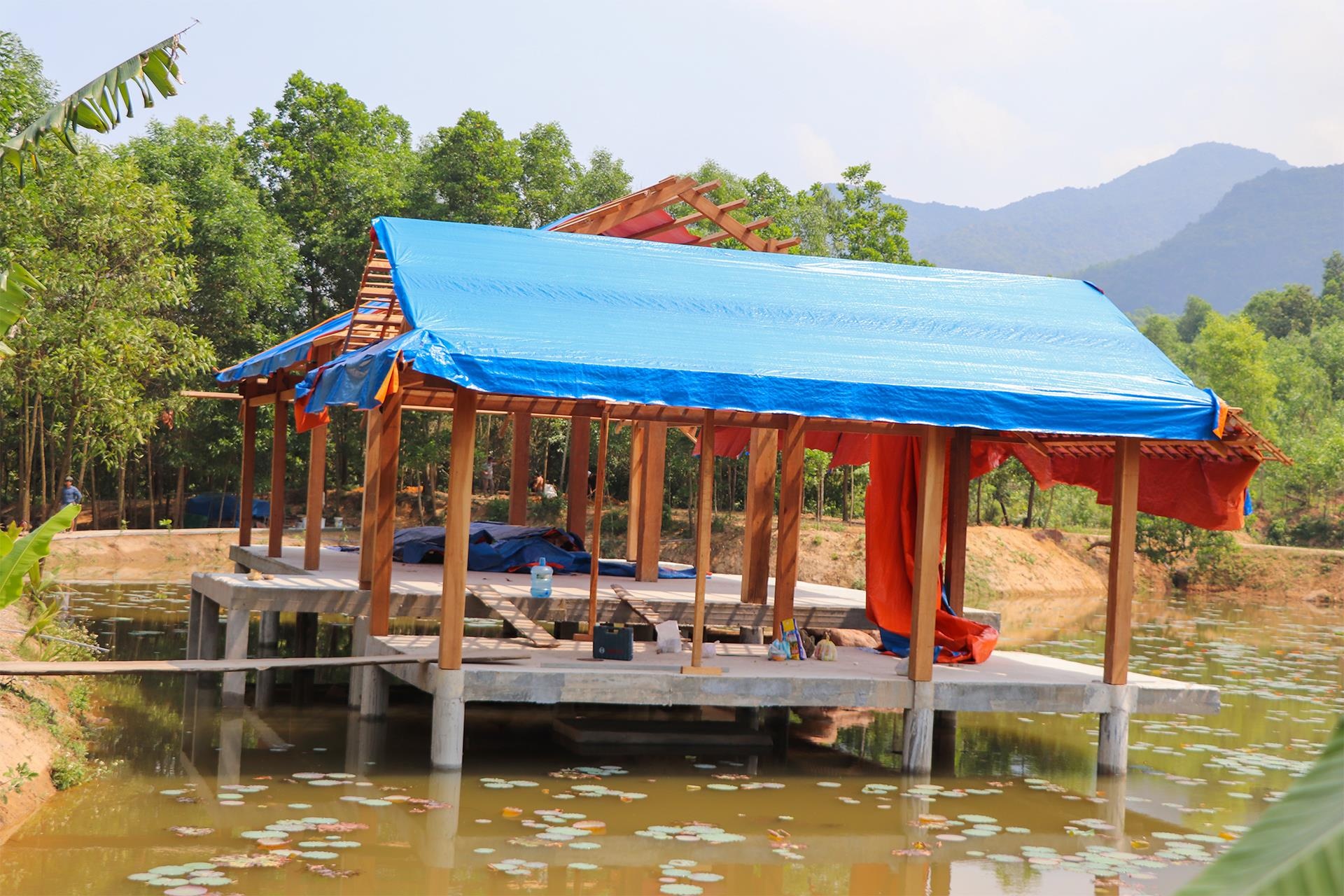 Bi thu doan xa xay khu nghi duong trai phep trong rung phong ho hinh anh