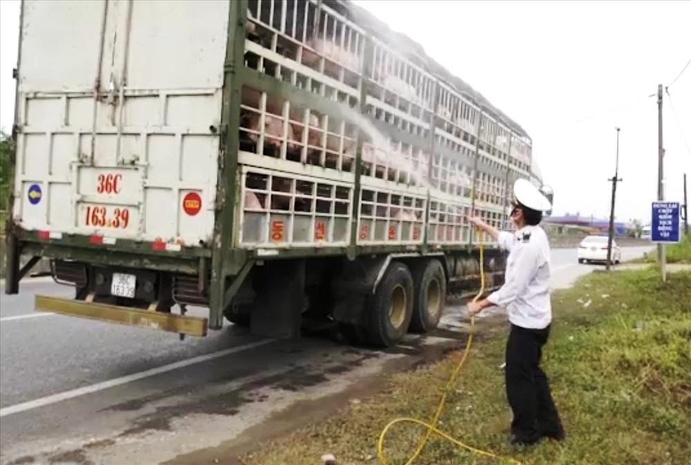 Cam xe cho lon chay qua cao toc Da Nang - Quang Ngai hinh anh