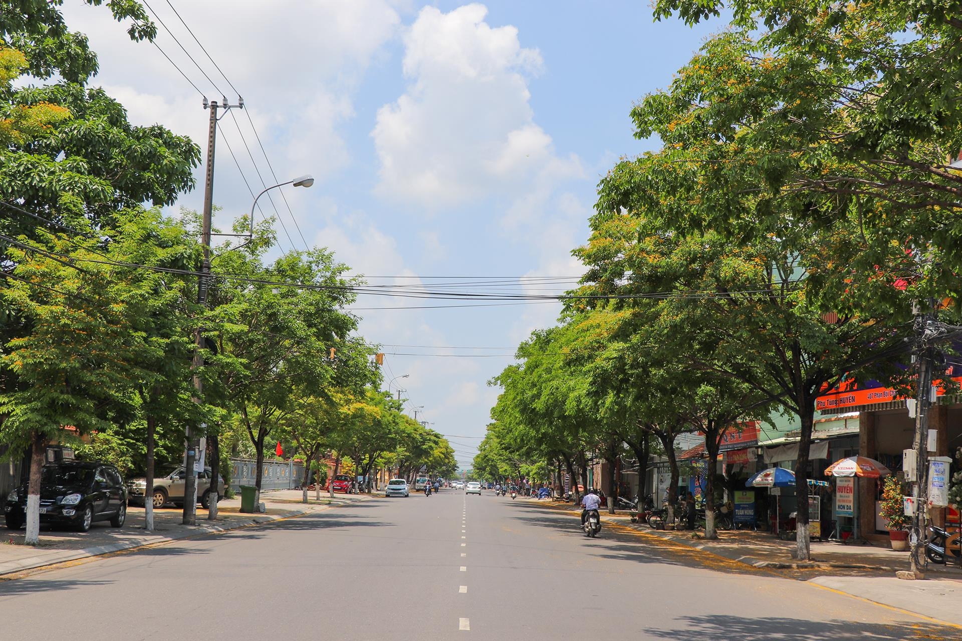 Tam Ky ruc vang sac hoa sua anh 1