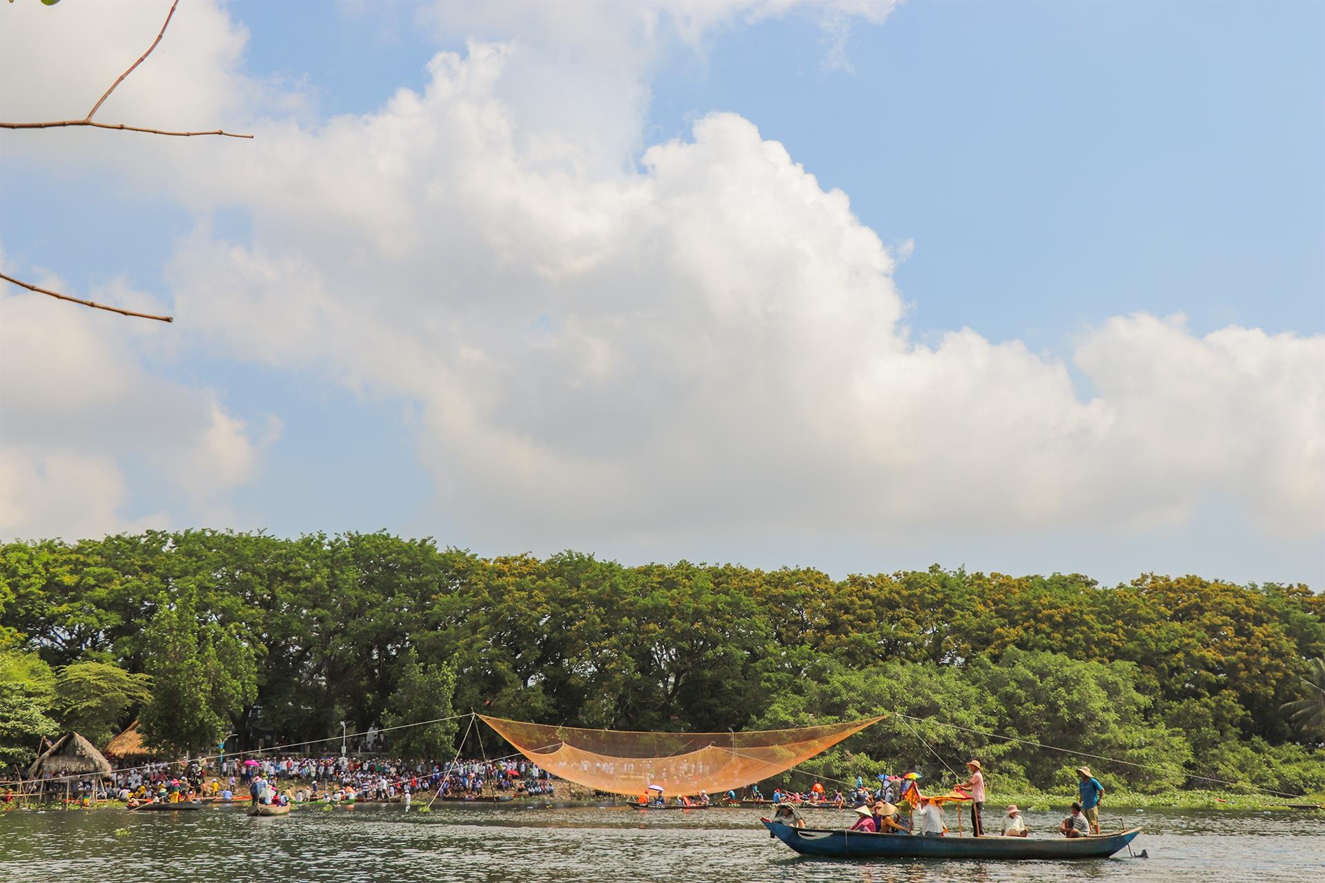 Tam Ky ruc vang sac hoa sua anh 4