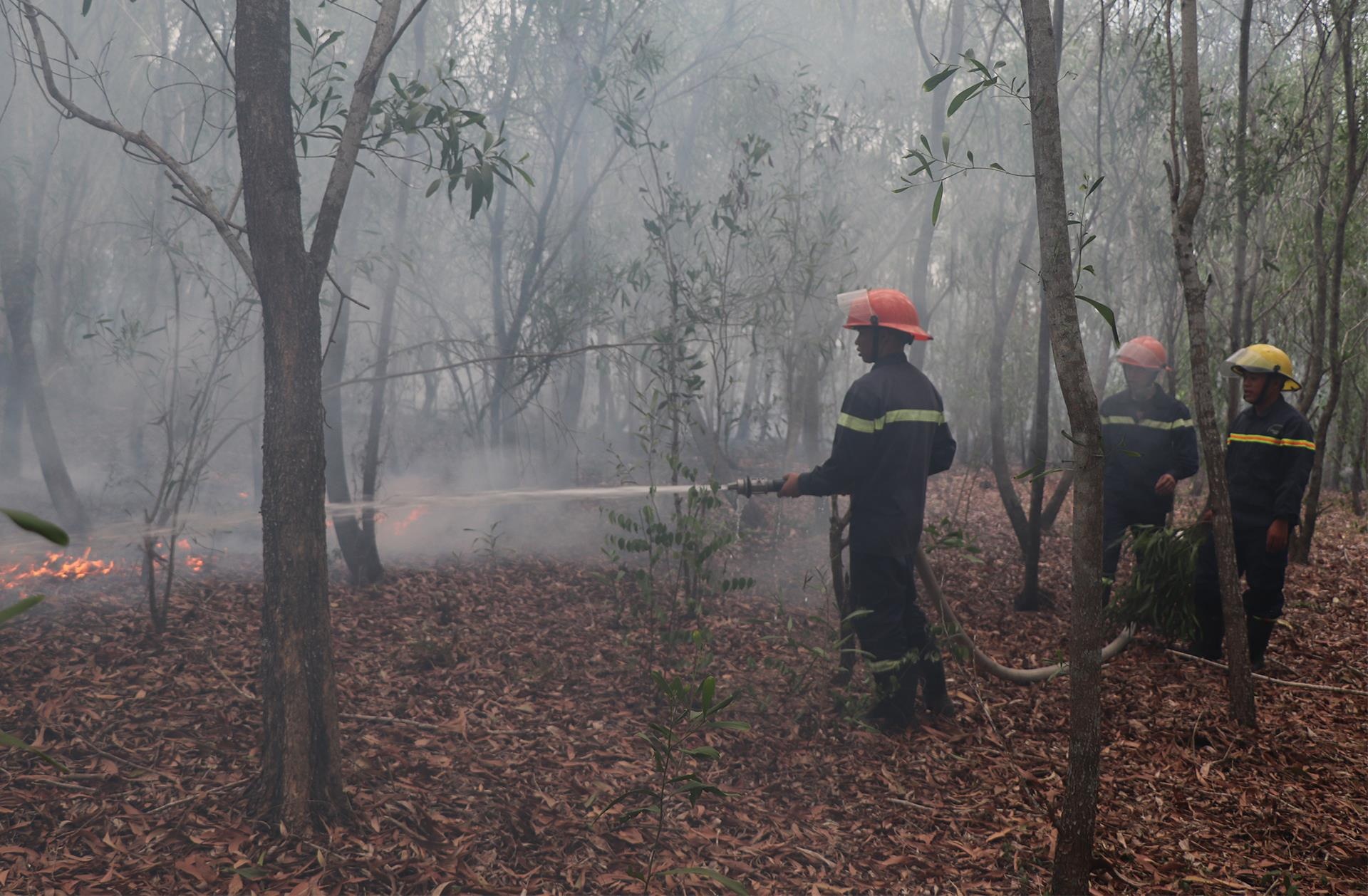 Chay rung hoanh hanh Quang Ngai anh 2