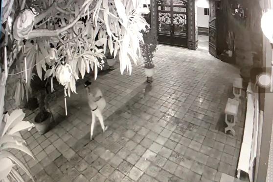 Nam thanh nien trom hom cong duc trong vong 15 giay hinh anh