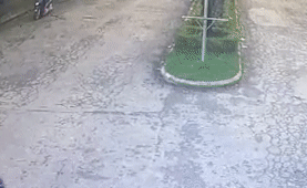 Dung dien thoai khi lai xe, nguoi dan ong tong vao cot giua duong hinh anh