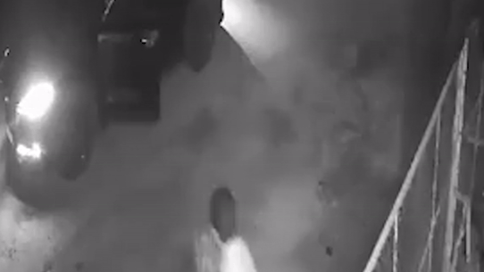 Nguoi dan ong di oto trom hoa hong luc rang sang hinh anh