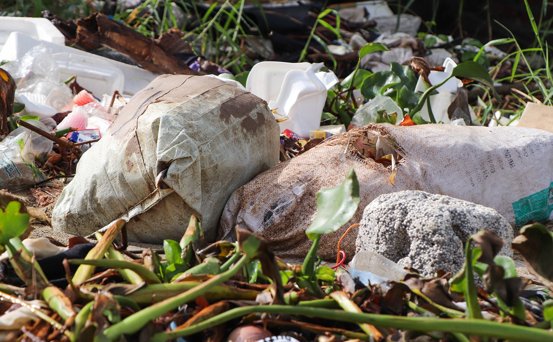 Hang tan rac dat vao bo ke song Thu Bon hinh anh