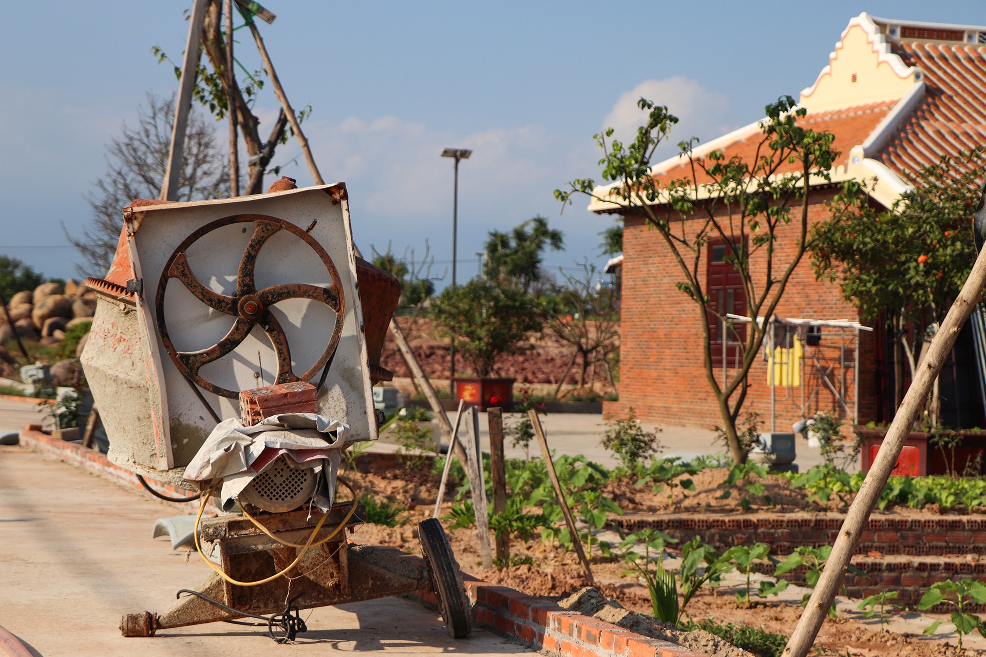 biet phu moc len giua rung anh 8