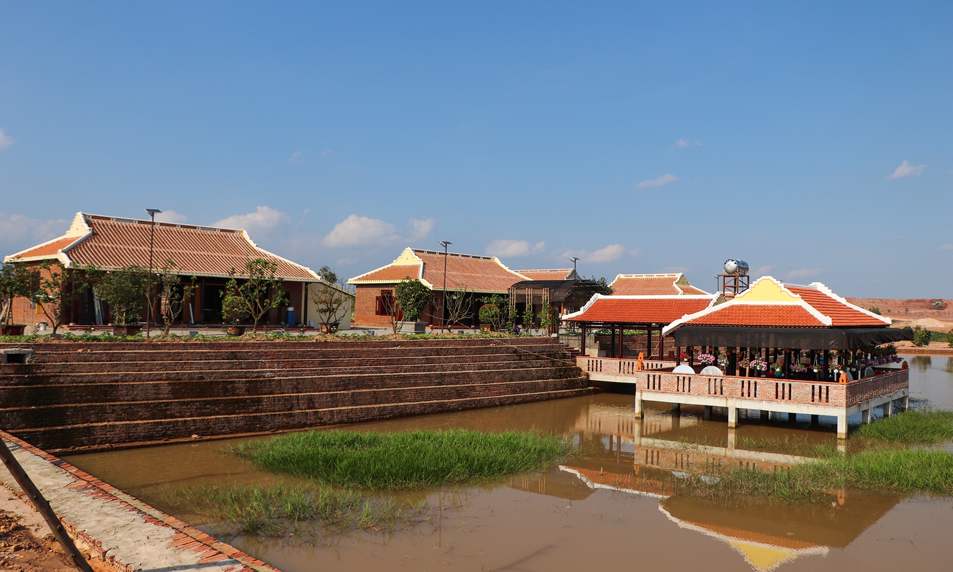 biet phu moc len giua rung anh 1