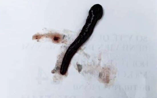 dia song trong mui be gai anh 1