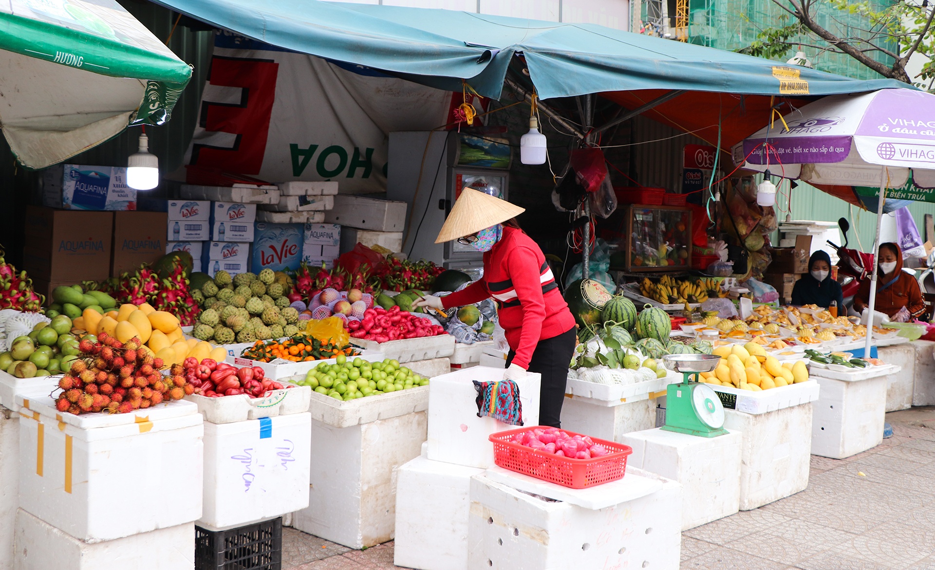 virus corona tai Da Nang anh 3