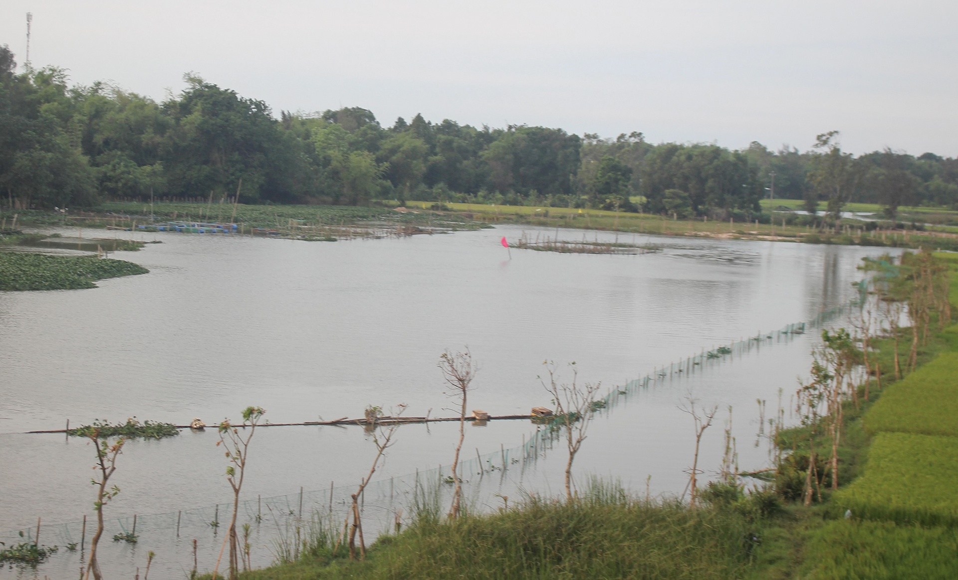 thanh nien cau ca bi duoi nuoc anh 1