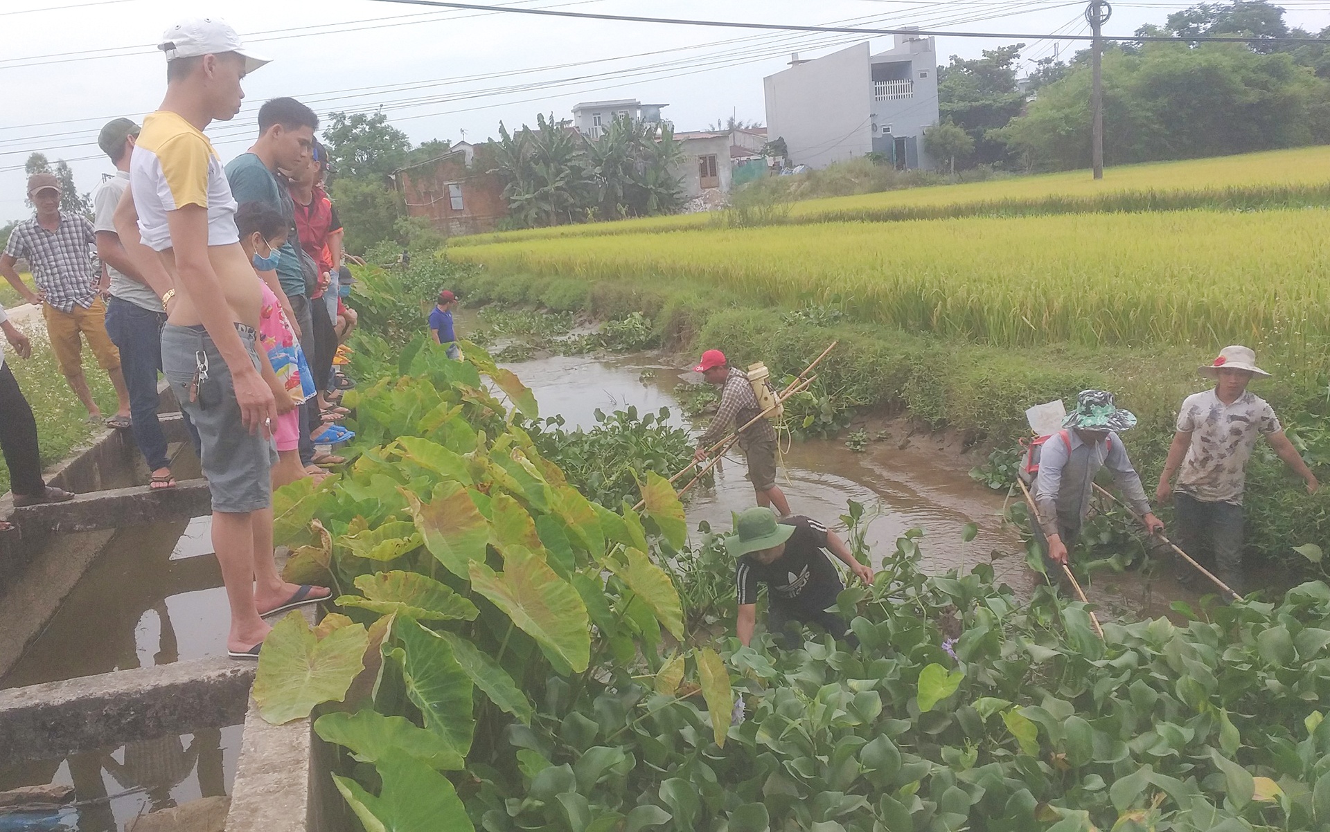 tu tap dung dien bat ca anh 1