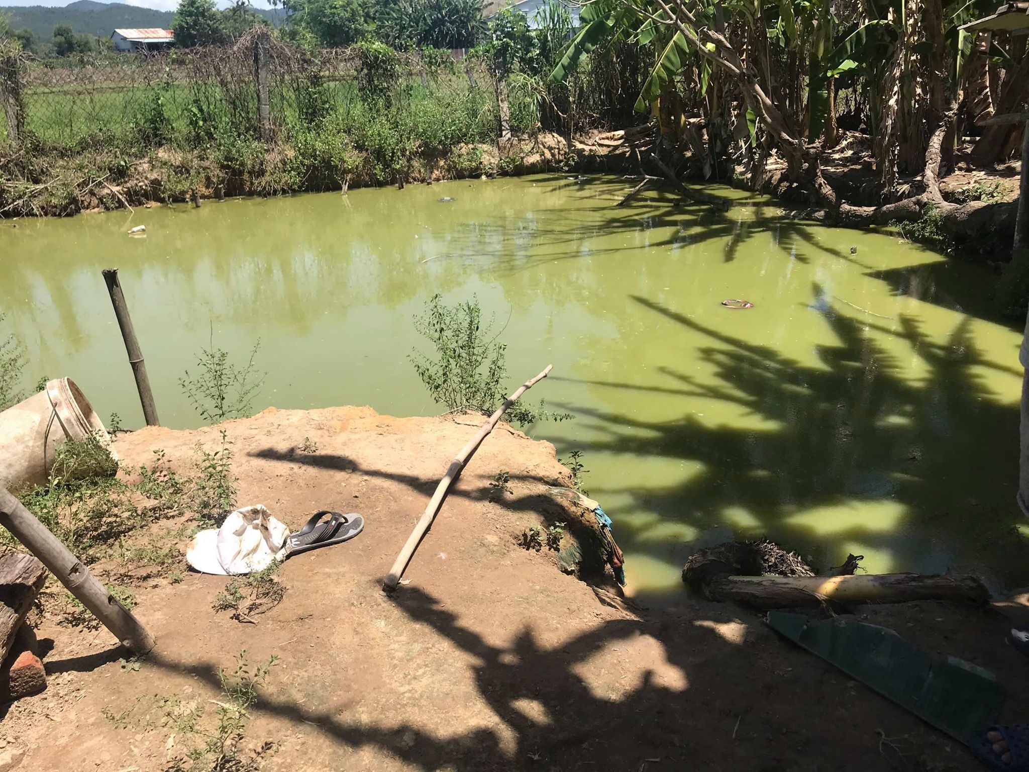 hai cha con bi dien giat tu vong anh 1