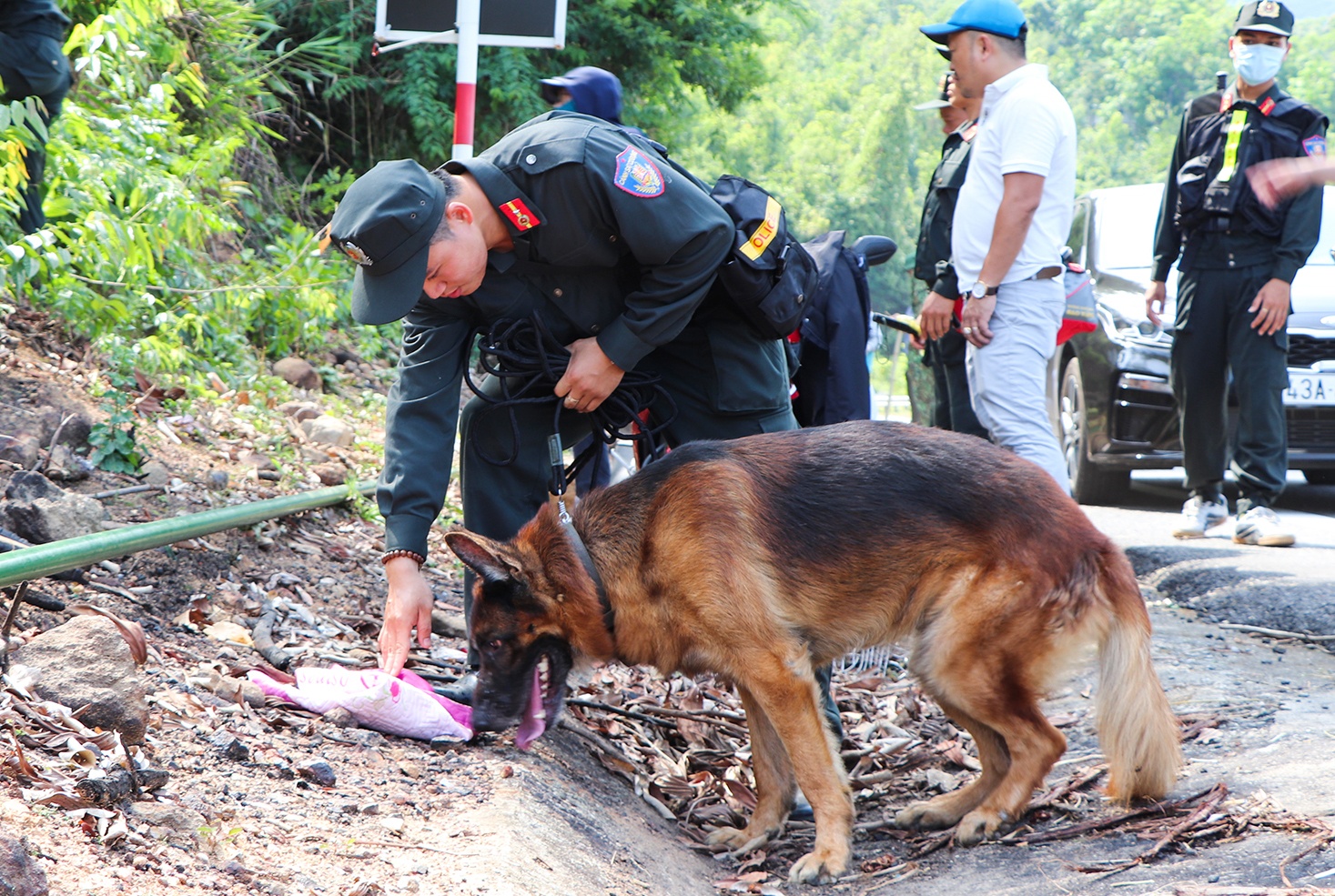 Rut 9 doi canh khuyen truy tim Trieu Quan Su hinh anh