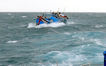 Tau hang dam chim tau ca, 6 ngu dan thoat chet hinh anh
