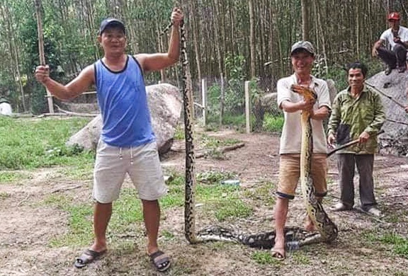 Tran dai 5 m nuot chung con de 20 kg hinh anh