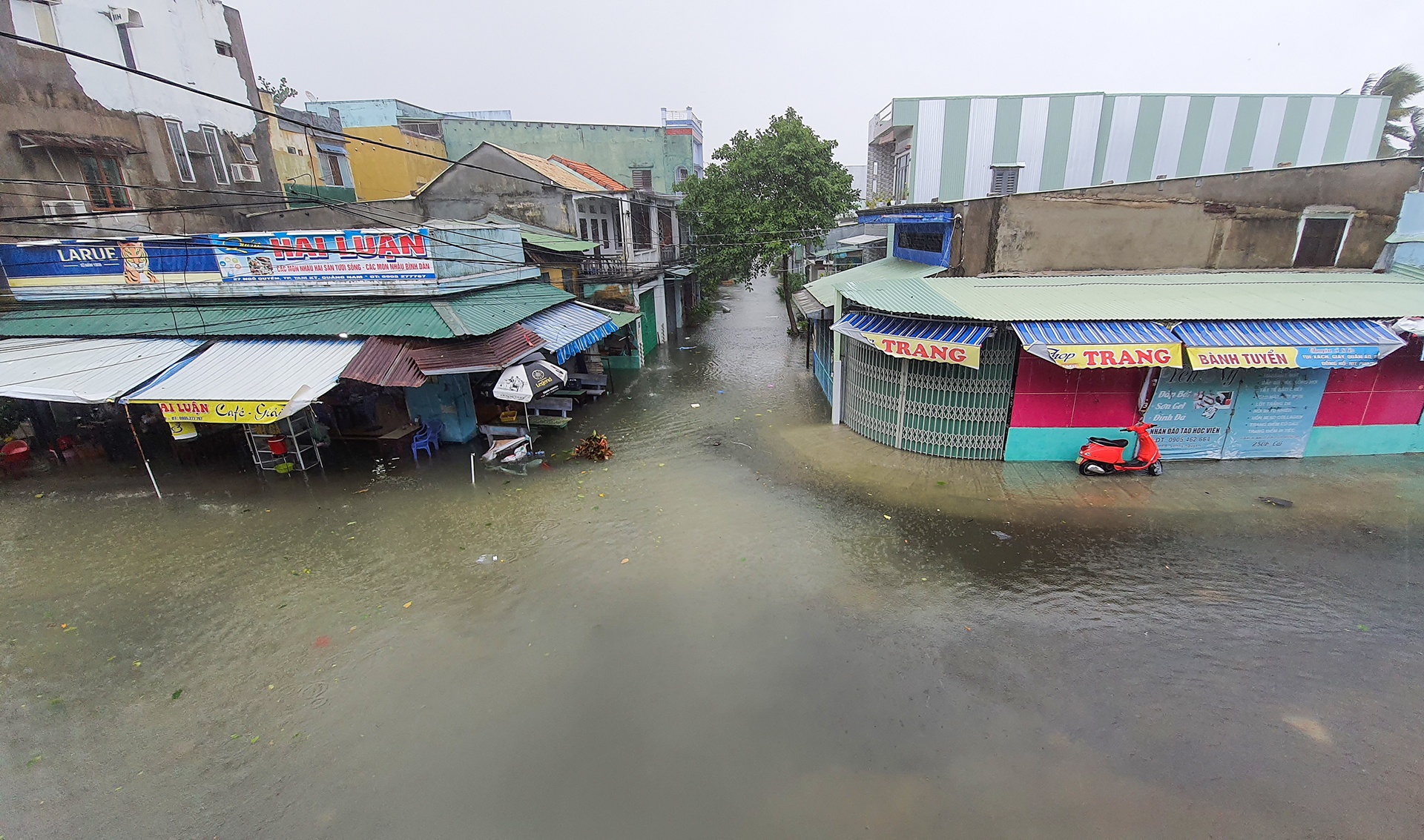 TP Tam Ky chim trong bien nuoc anh 1