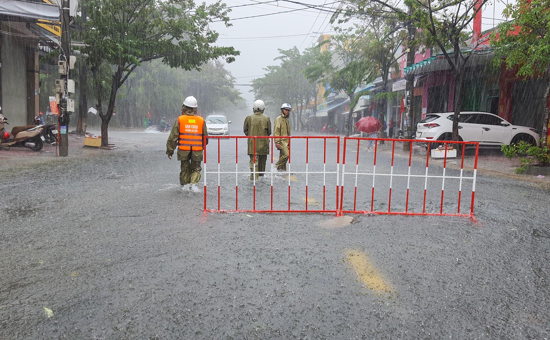 TP Tam Ky chim trong bien nuoc anh 10