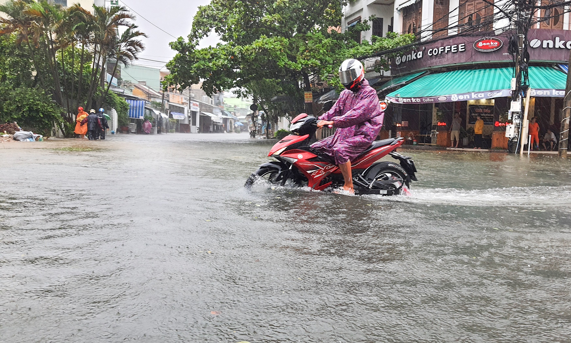 TP Tam Ky chim trong bien nuoc anh 3