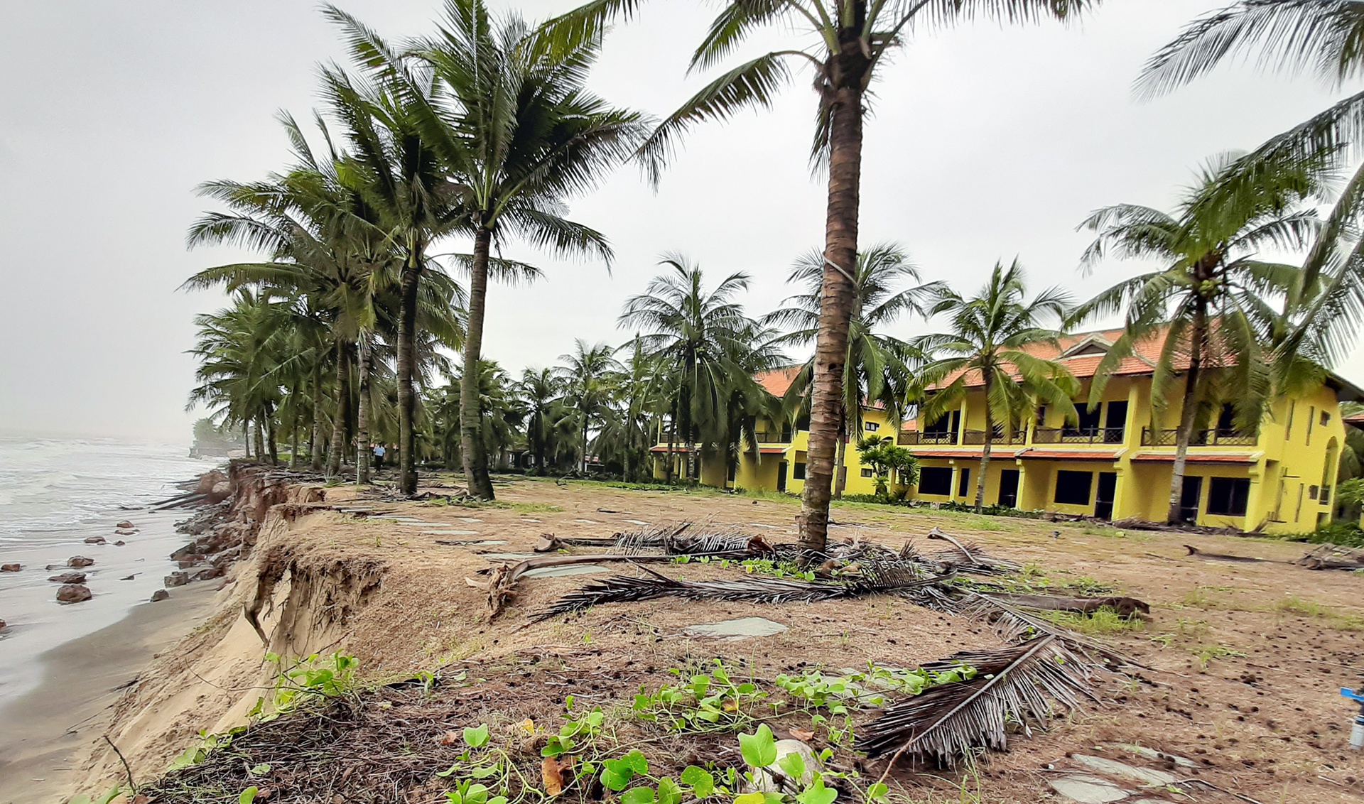 Resort tram ty o Hoi An doi mat nguy co bi bien nuot chung hinh anh
