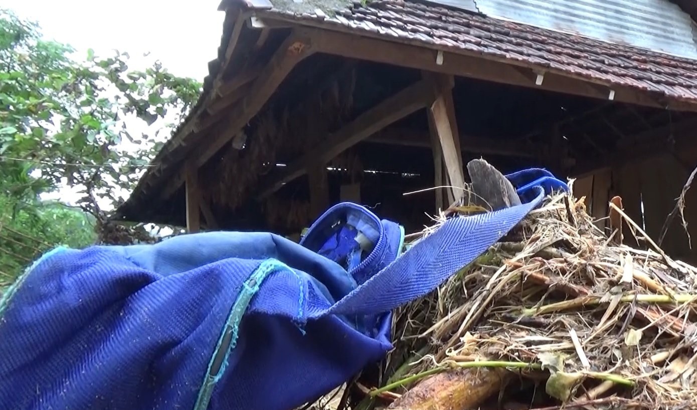 'Mua lon cuon troi het quan ao, con mong som duoc di hoc tro lai' hinh anh