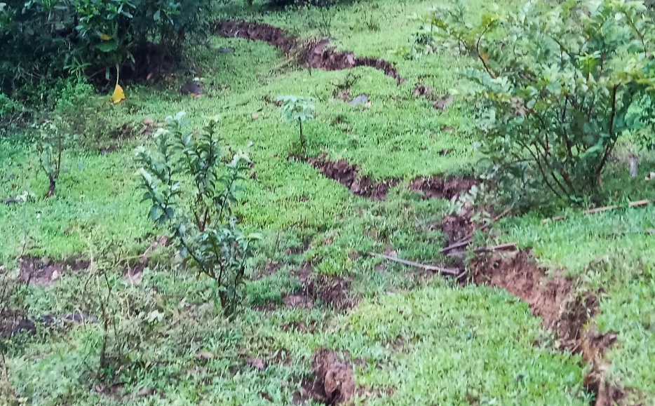 Xuat hien nhieu vet nut tren nui o Quang Nam hinh anh